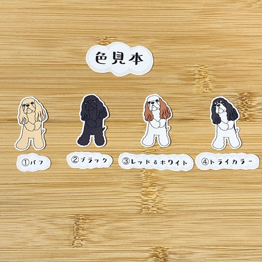 照れ屋のアメコカちゃん。5-14