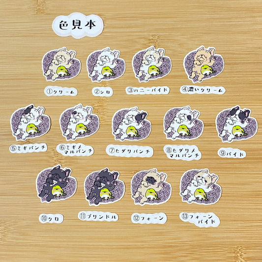 桜のクッションでスヤスヤフレブルちゃん。96−248