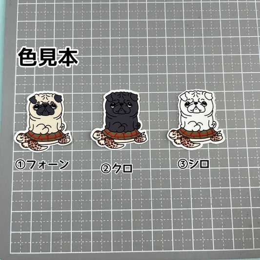 ウミガメさんに乗ったパグちゃん。76-