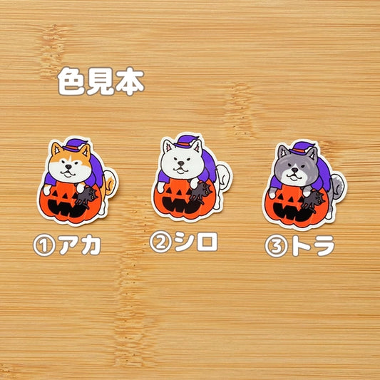 オバケカボチャとアキタイヌさん。3-18