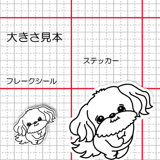 おりこうさんで待ってたマルチーズちゃん。109-