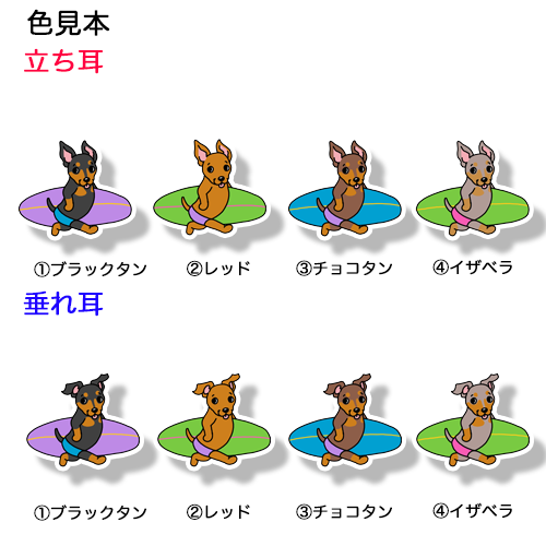 サーファーミニピンちゃん。113-9