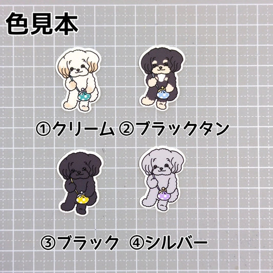 おでかけチワプーちゃん。61-2
