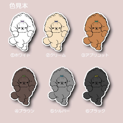 かわいいヘアスタイルのプードルちゃん。87-