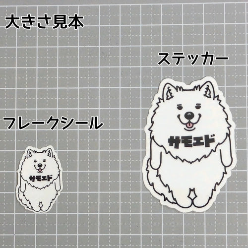 サモエド。33-1