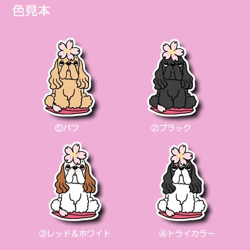 アメコカちゃんの春のご挨拶。5-16