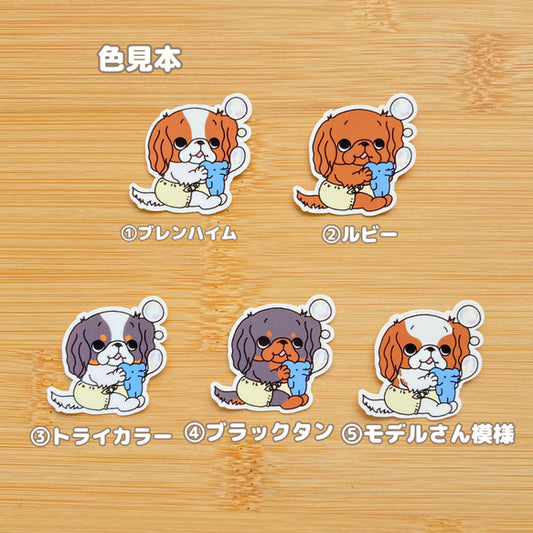 シャボン玉で遊ぶキャバリアちゃん。26-6