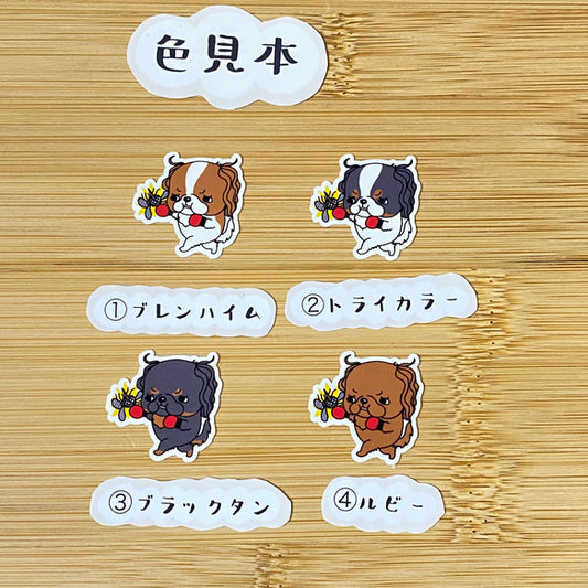 キャバリアちゃんのフィラリア予防。26-13