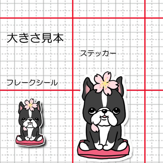 ボステリちゃんの春のご挨拶。101-