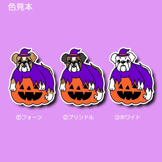 オバケカボチャとボクサーさん。 100-