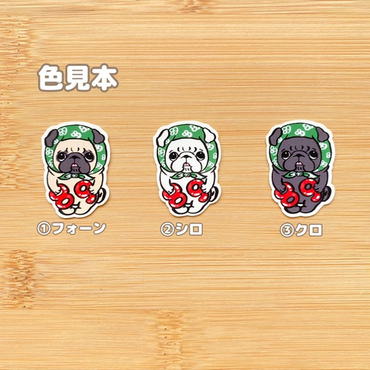 89パグの日。76-