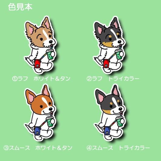 おでかけ立ち耳ジャックラッセルちゃん。43-5