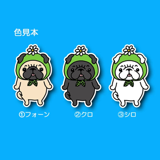 お花帽子のパグちゃん。76-