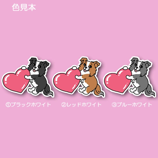 ハートを届けたいボーダーコリーちゃん。106-