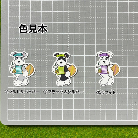 夏のお買い物のシュナウザーちゃん。44-7
