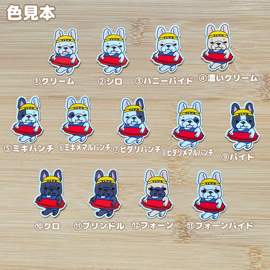 どこから入水するか考えてるフレブルちゃん。96−307