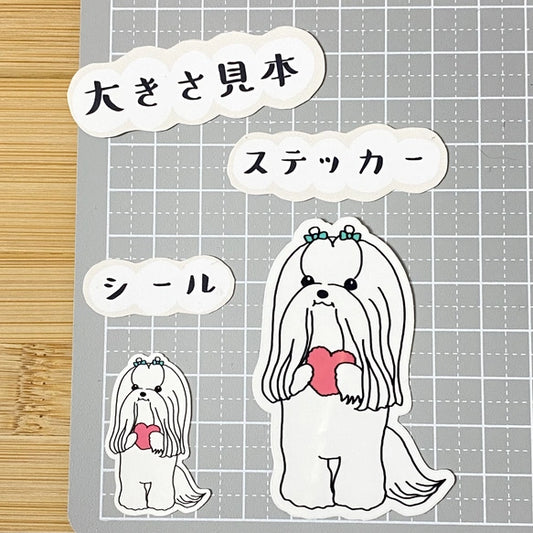 おしゃれかわいいマルチーズちゃん。109-