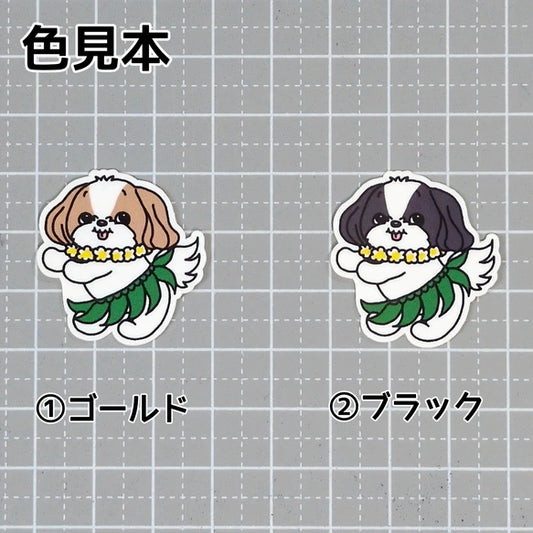 フラシーズーちゃん。35-20