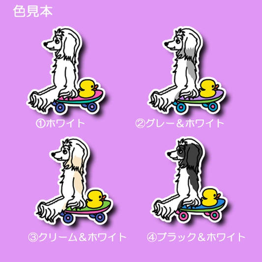 誰か来ないかなーって待ってるパウダーパフちゃん。58-2