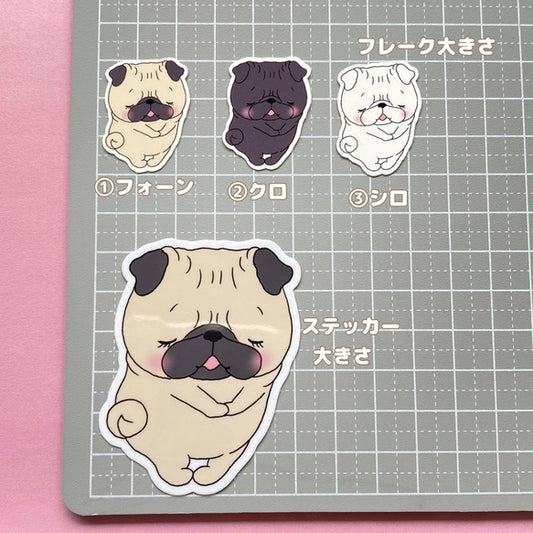 恥ずかしがり屋のパグちゃん。76-