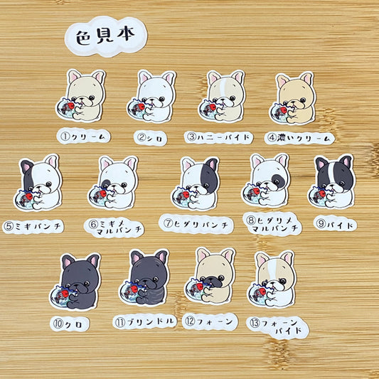 金魚鉢とフレブルちゃん。96−154