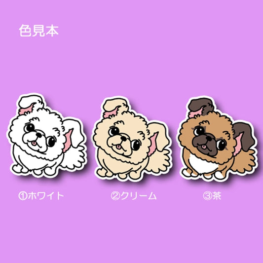 待ってるチワペキちゃん。62-4