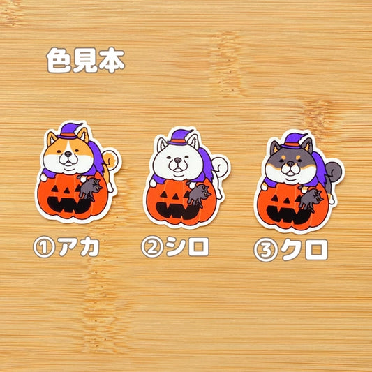 オバケカボチャとシバイヌさん。39-16