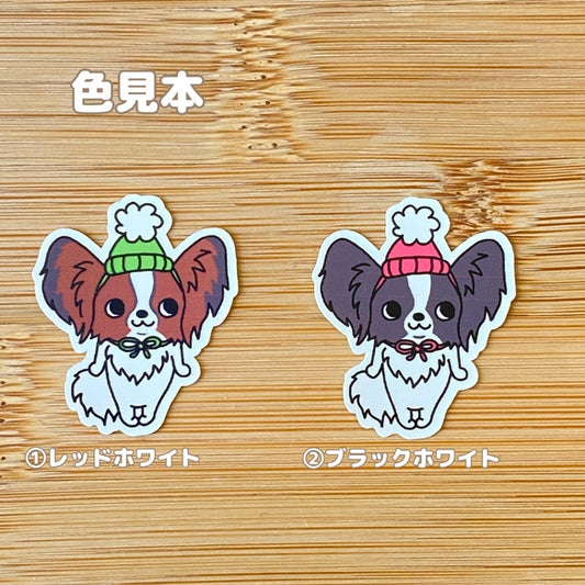 ポンポンパピヨンちゃん。80-