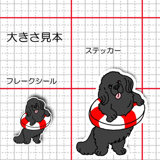 泳ぎたいニューファンドランドさん。72-