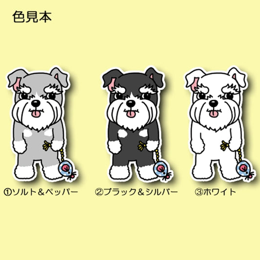 何して遊ぶ?って言ってるシュナウザーちゃん。44-15