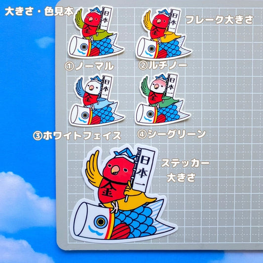 コザクラインコちゃんの端午の節句。
