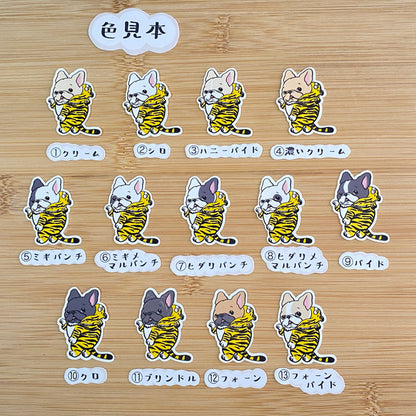 トラさんに変身！フレブルちゃん。96−246