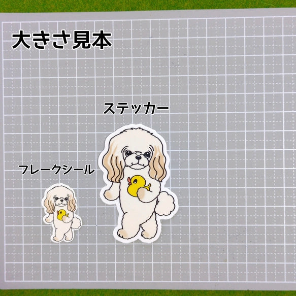 お気に入りのアヒルさんとチワプーちゃん。61-1