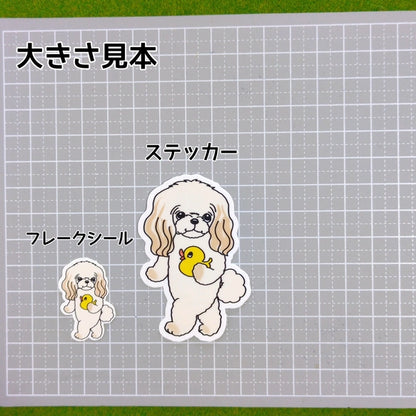 お気に入りのアヒルさんとチワプーちゃん。61-1