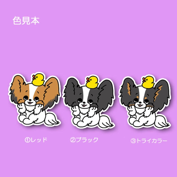 楽しみにしてるパピヨンちゃん。80-