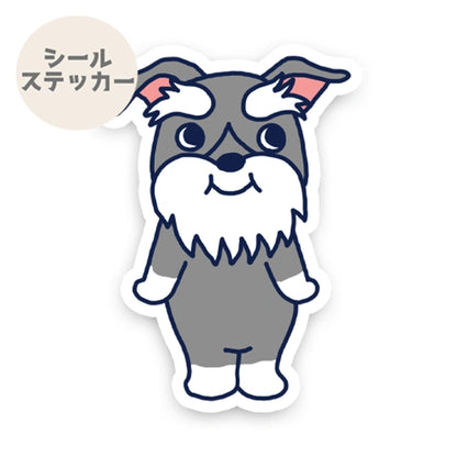 かわいいシュナちゃん。44-27