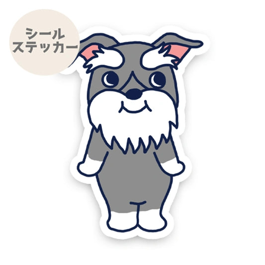 かわいいシュナちゃん。44-27