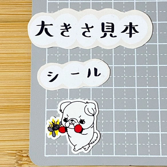 ペキニーズちゃんのフィラリア予防。97-