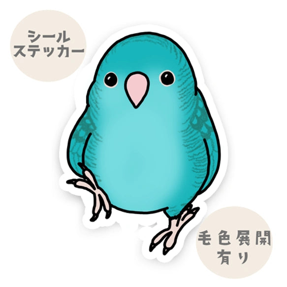 てくてくサザナミインコちゃん。