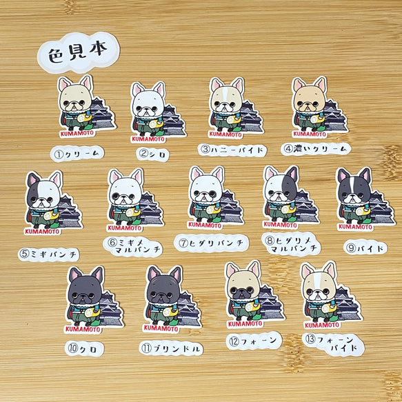 熊本を旅するフレブルちゃん。96−89