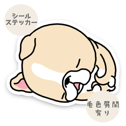 ちまっと寝てるフレブルちゃん。96−343