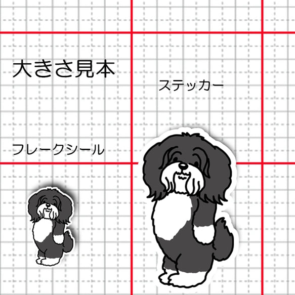 おりこうさんで待ってるチベタンテリアちゃん。56-1