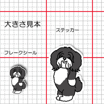 おりこうさんで待ってるチベタンテリアちゃん。56-1