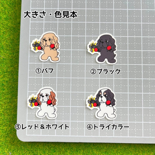 アメコカちゃんのフィラリア予防。5-2