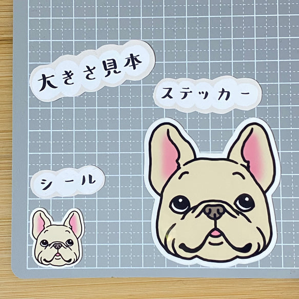 フレブルのカオ。96−205
