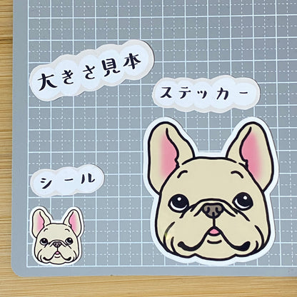 フレブルのカオ。96−205