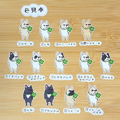 幸せを運ぶフレブルちゃん。96−222