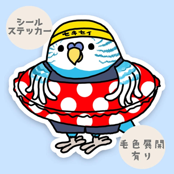 プールに入りたいセキセイインコちゃん。