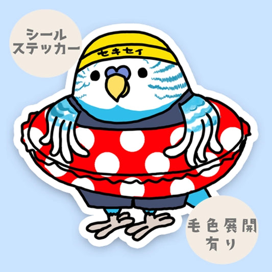 プールに入りたいセキセイインコちゃん。