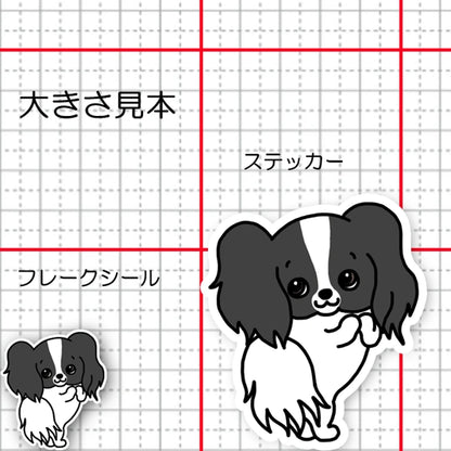 おねだりパピヨンちゃん。80-
